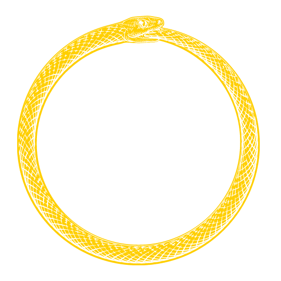 symbolise la cyclicité infini (temps circulaire et l'idée de grand rebond) l'évolution de conscience et l'unité (théorie M)