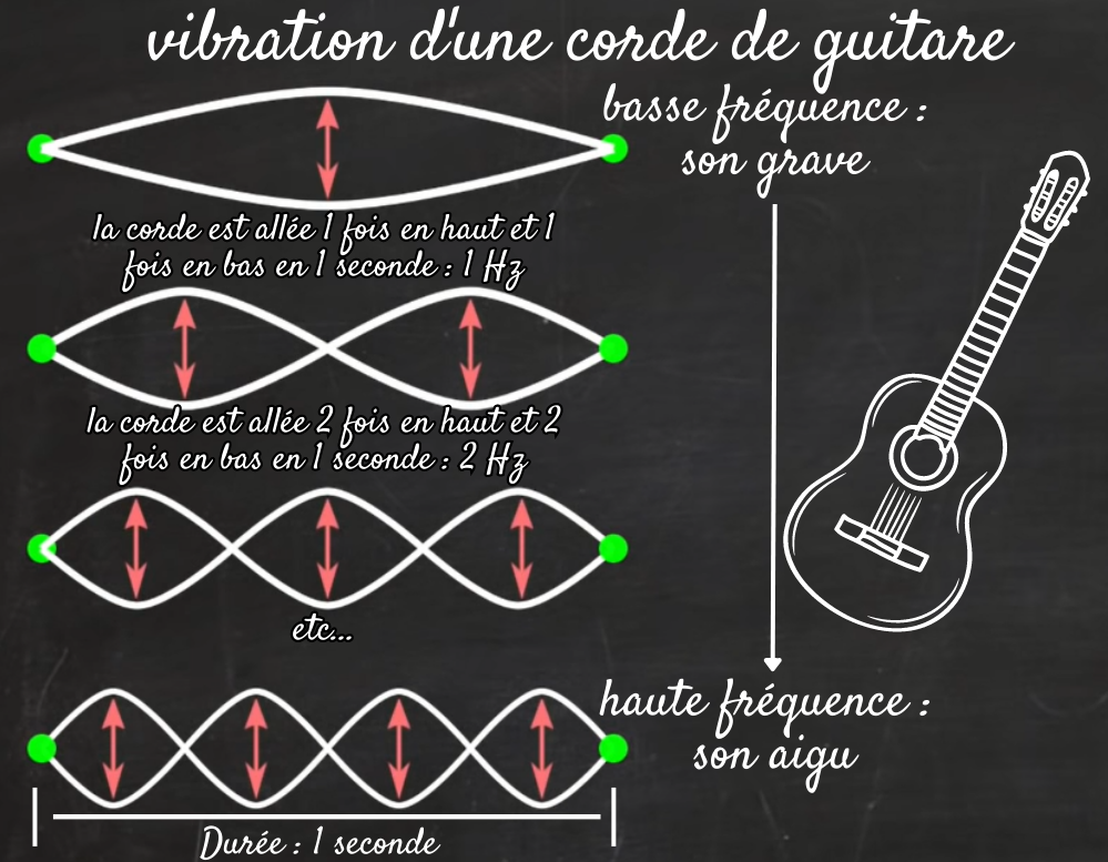 L'image est un schéma qui illustre la fréquences vibratoires d'une corde de guitare