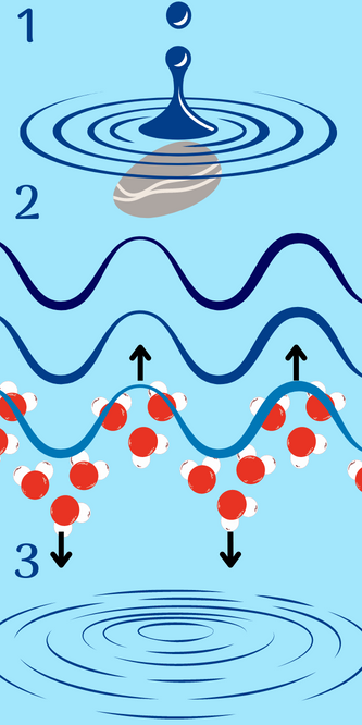 illustration de l'explication du texte
